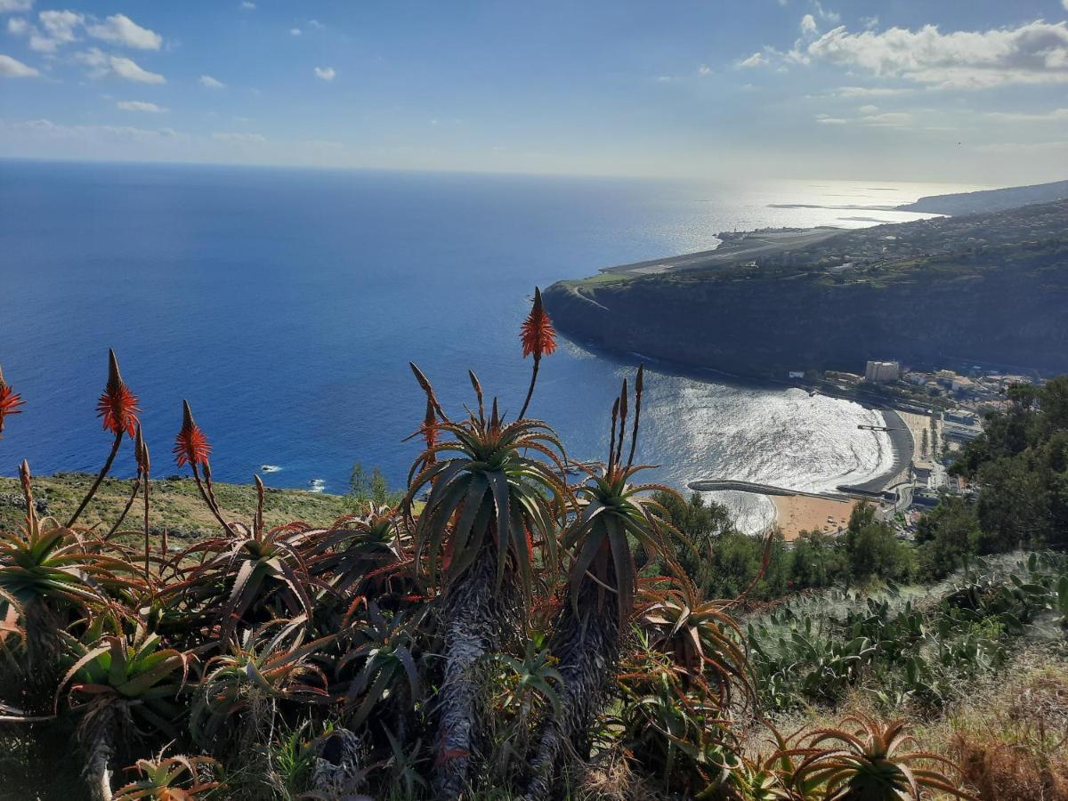 Sunny Beach Machico Apartment By Hr Madeira Exterior foto